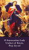 Our Lady Undoer of Knots Prayer Card***BUYONEGETONEFREE***